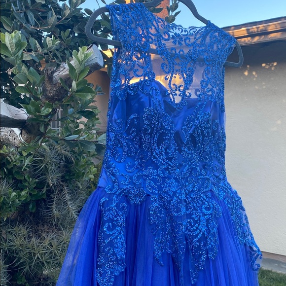 Royal Blue Lace & Tulle Floor-Length Ball Gown with Built-In Petticoat - Picture 5 of 17